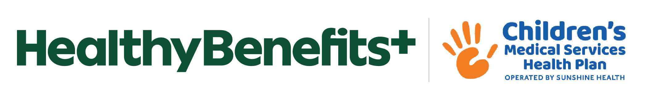 Children's Medical Services Health Plan Operated by Wellcare Grocery Allowance